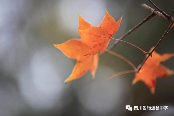 珍愛生命，熱愛生活2.jpg