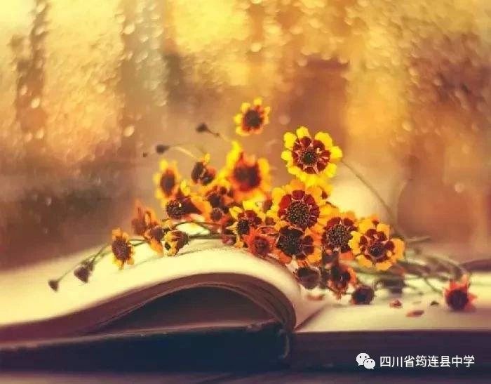 珍愛生命，熱愛生活3.jpg