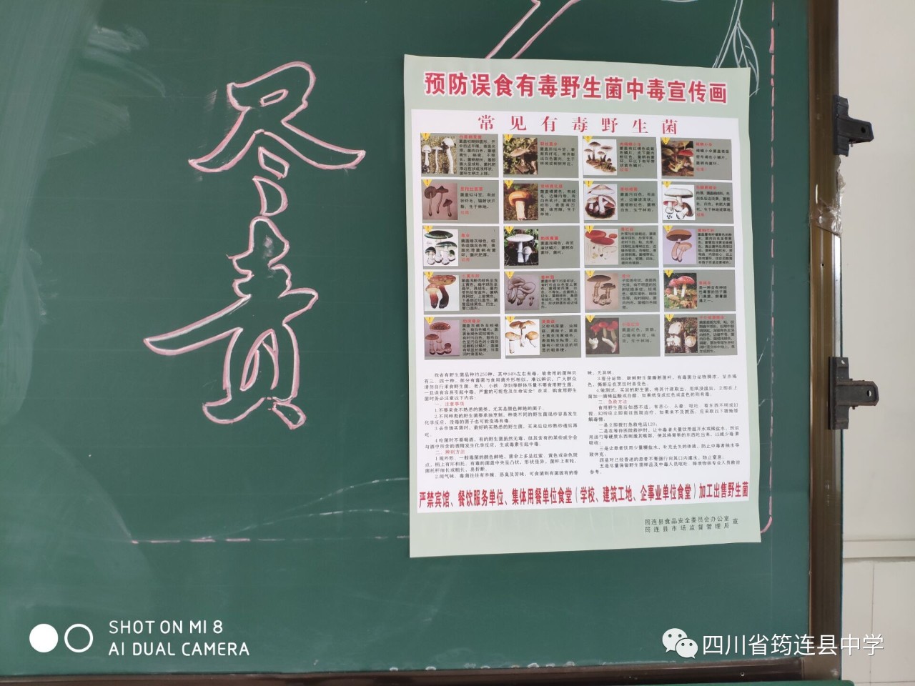 筠連中學開展嚴禁食用野生菌宣傳工作2.jpg